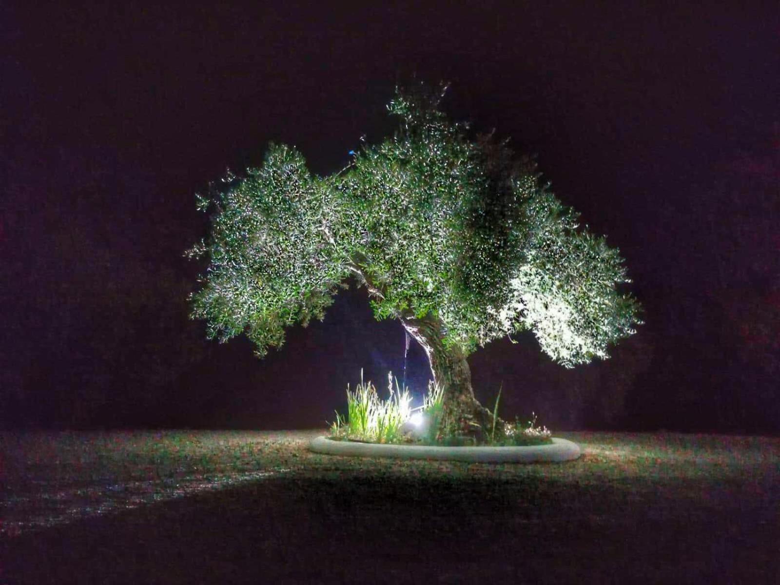 El Carmen Villa รอนดา ภายนอก รูปภาพ